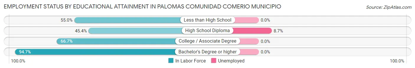 Employment Status by Educational Attainment in Palomas comunidad Comerio Municipio