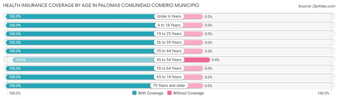Health Insurance Coverage by Age in Palomas comunidad Comerio Municipio