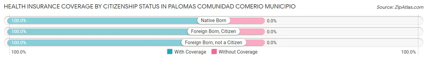 Health Insurance Coverage by Citizenship Status in Palomas comunidad Comerio Municipio