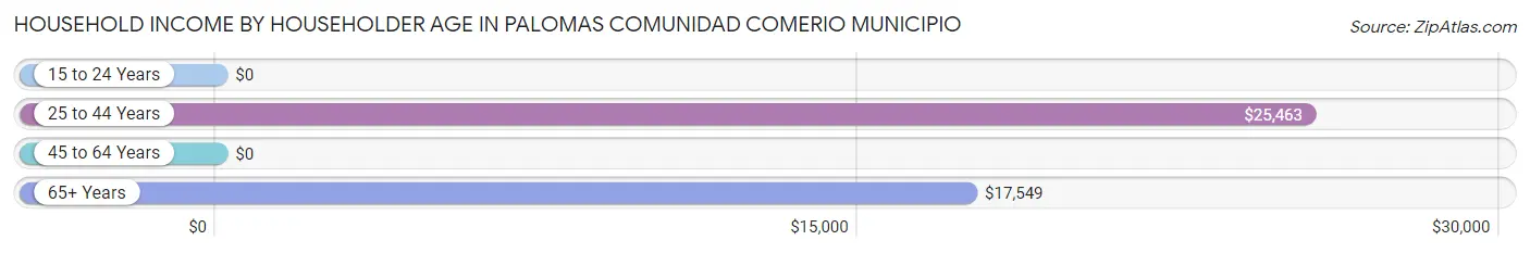 Household Income by Householder Age in Palomas comunidad Comerio Municipio