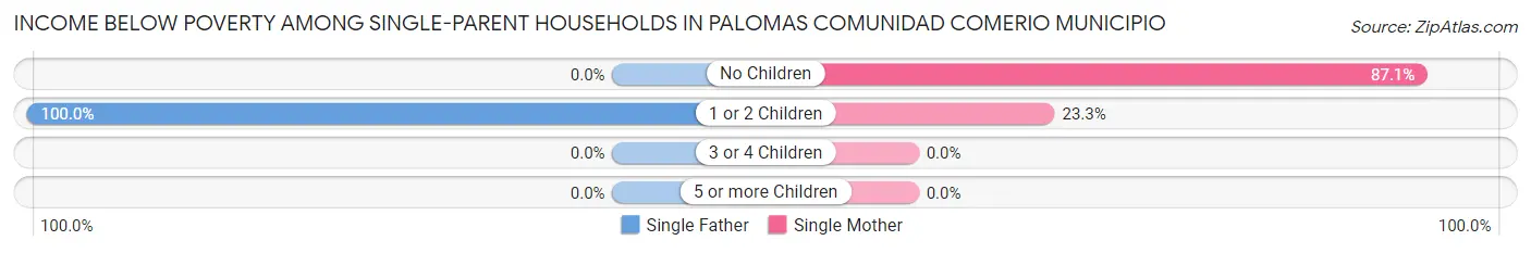 Income Below Poverty Among Single-Parent Households in Palomas comunidad Comerio Municipio