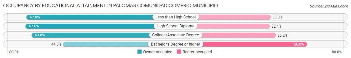 Occupancy by Educational Attainment in Palomas comunidad Comerio Municipio