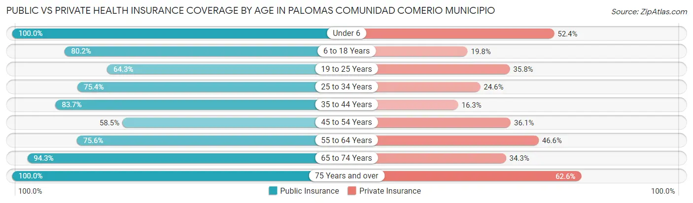 Public vs Private Health Insurance Coverage by Age in Palomas comunidad Comerio Municipio
