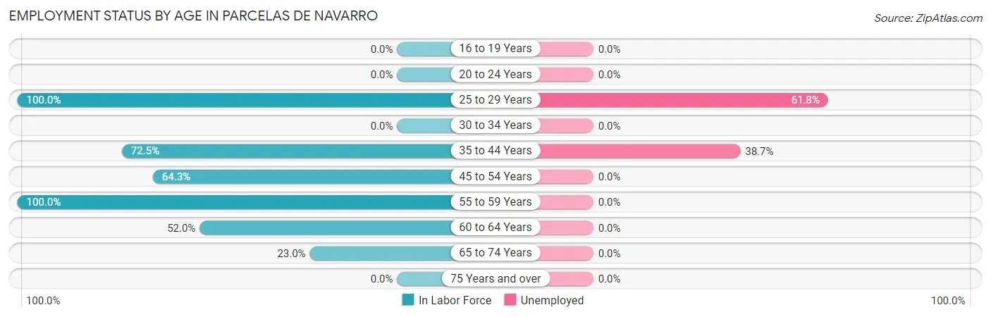 Employment Status by Age in Parcelas de Navarro