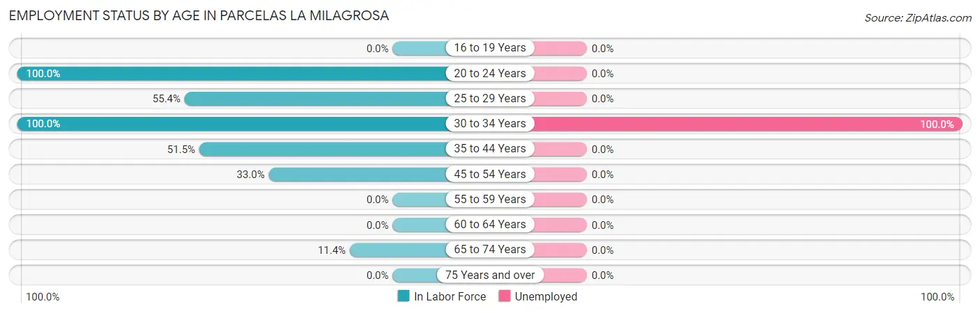 Employment Status by Age in Parcelas La Milagrosa