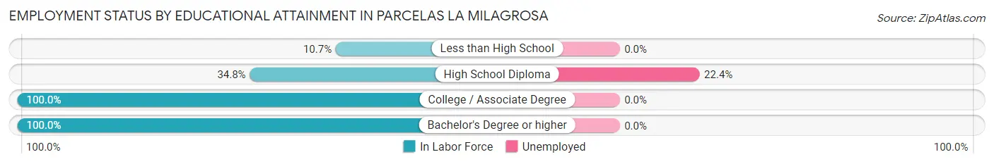 Employment Status by Educational Attainment in Parcelas La Milagrosa