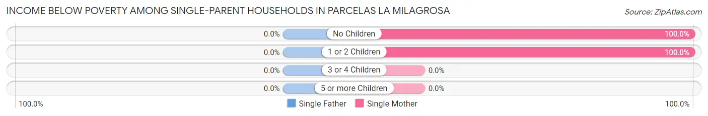 Income Below Poverty Among Single-Parent Households in Parcelas La Milagrosa