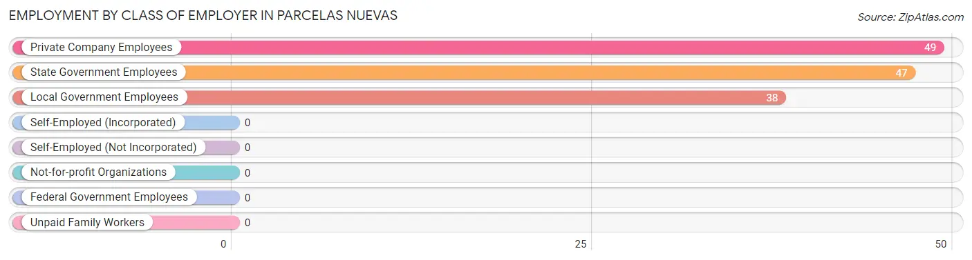 Employment by Class of Employer in Parcelas Nuevas