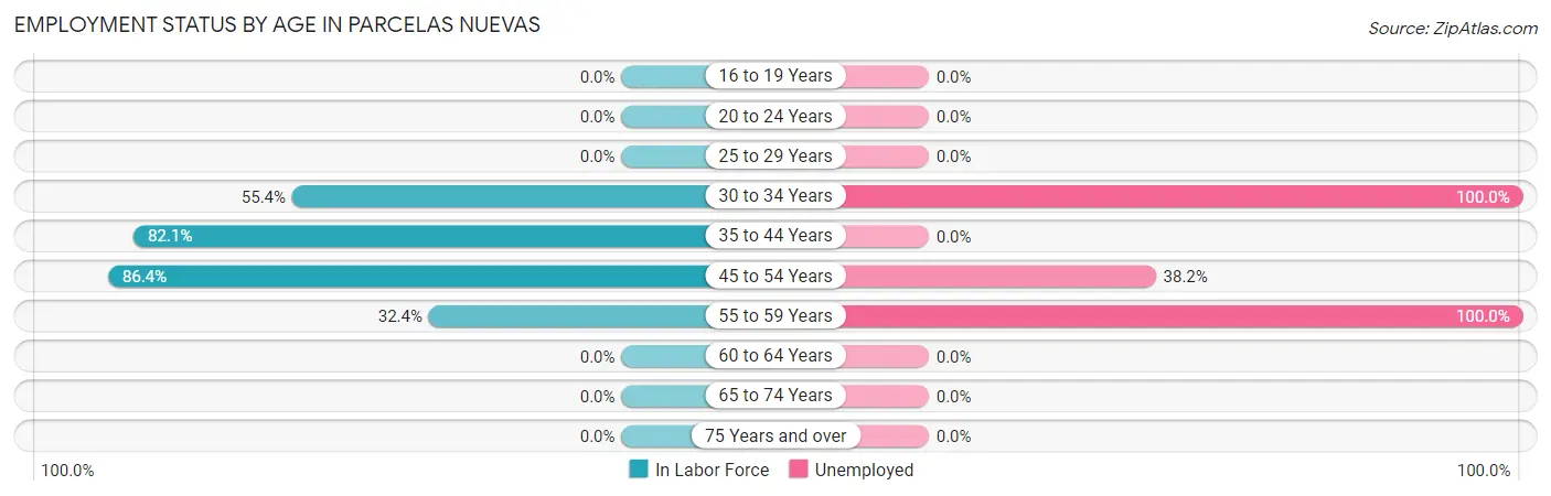 Employment Status by Age in Parcelas Nuevas