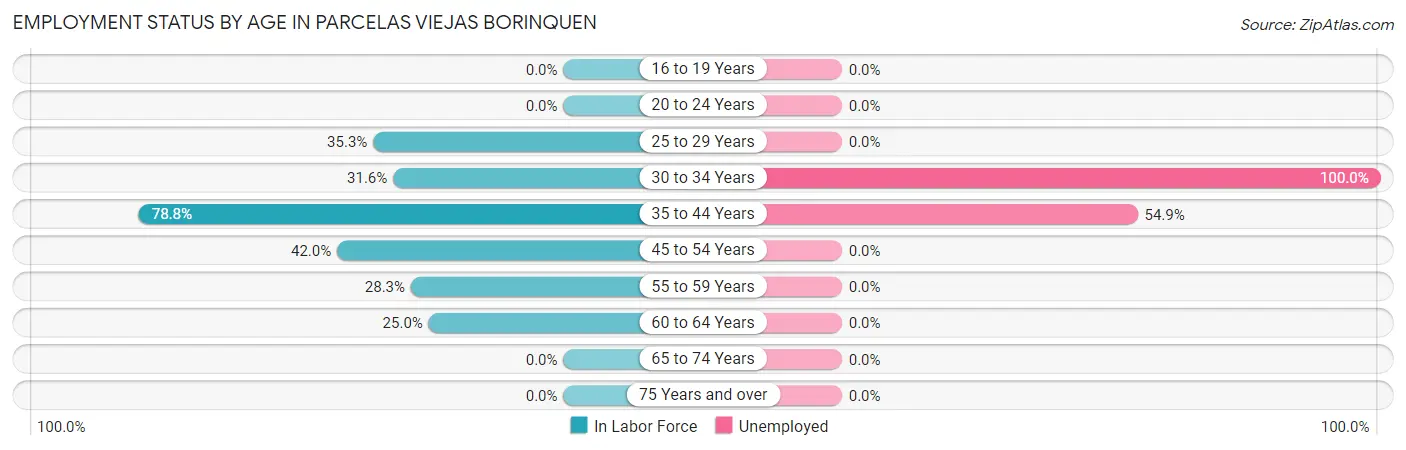 Employment Status by Age in Parcelas Viejas Borinquen