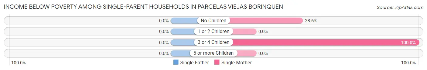 Income Below Poverty Among Single-Parent Households in Parcelas Viejas Borinquen