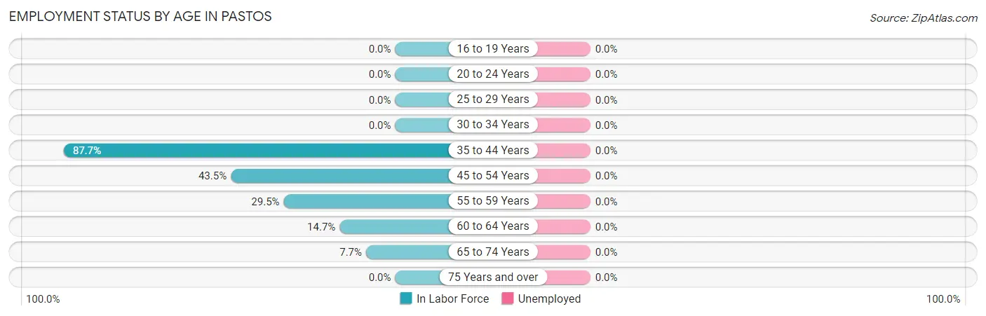 Employment Status by Age in Pastos