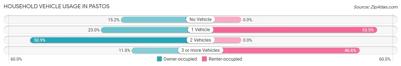 Household Vehicle Usage in Pastos
