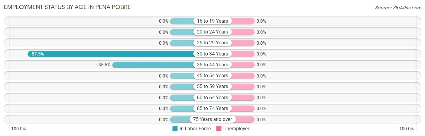 Employment Status by Age in Pena Pobre