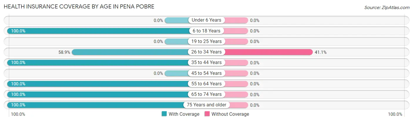 Health Insurance Coverage by Age in Pena Pobre