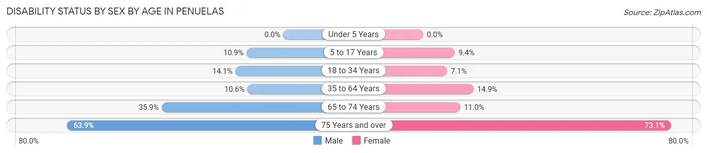 Disability Status by Sex by Age in Penuelas