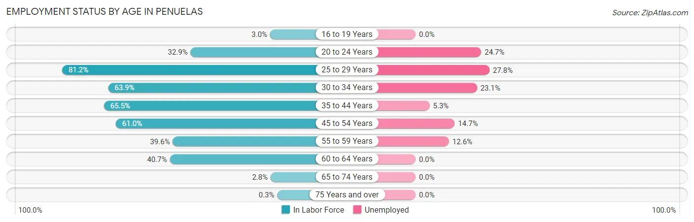 Employment Status by Age in Penuelas