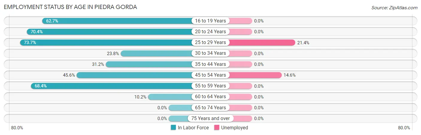 Employment Status by Age in Piedra Gorda