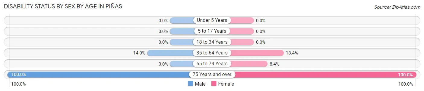 Disability Status by Sex by Age in Piñas