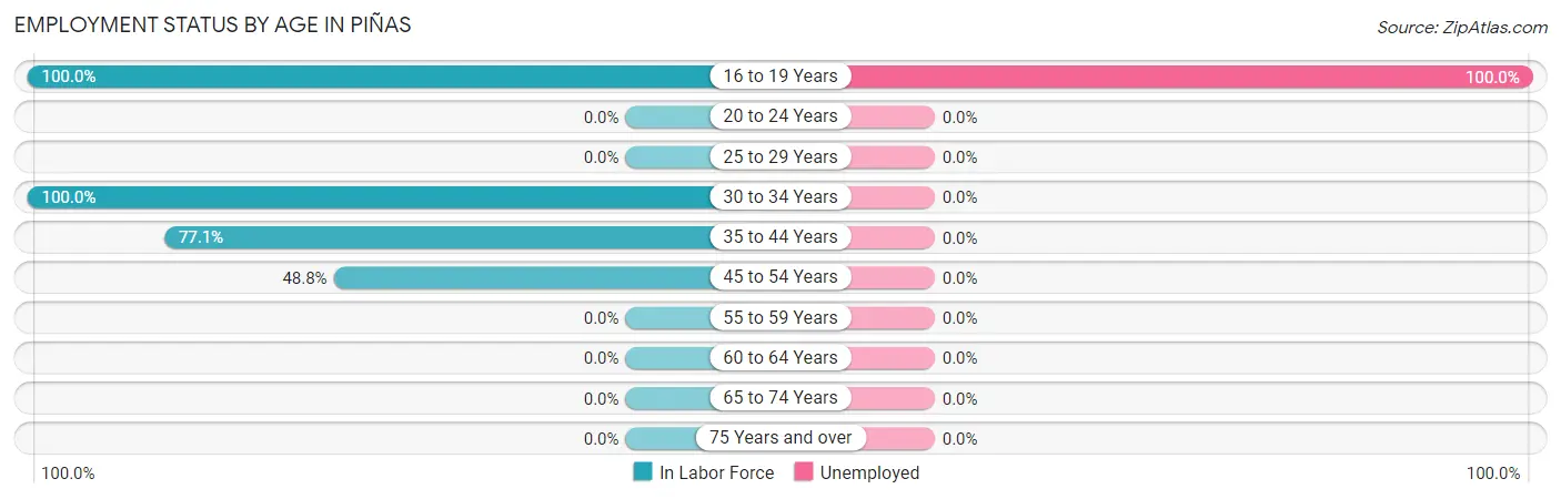 Employment Status by Age in Piñas