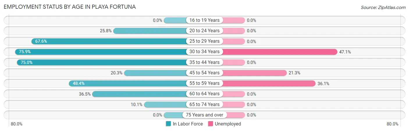 Employment Status by Age in Playa Fortuna
