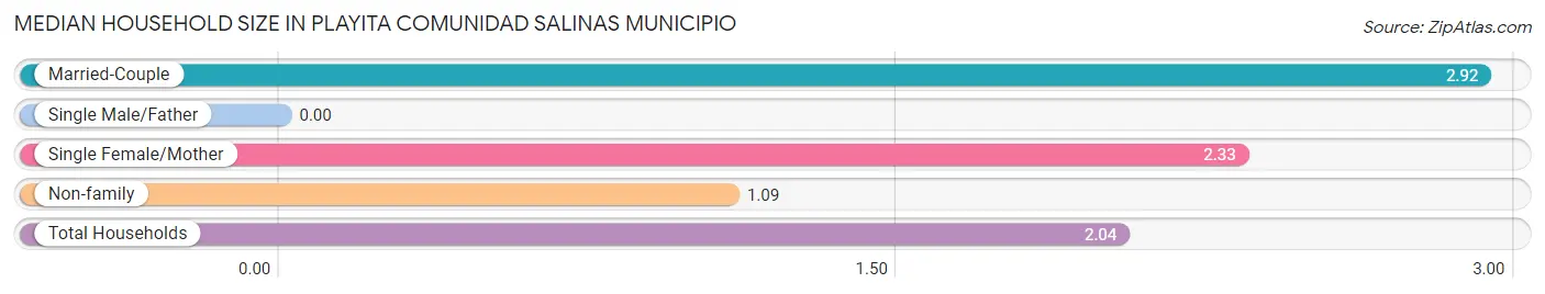 Median Household Size in Playita comunidad Salinas Municipio