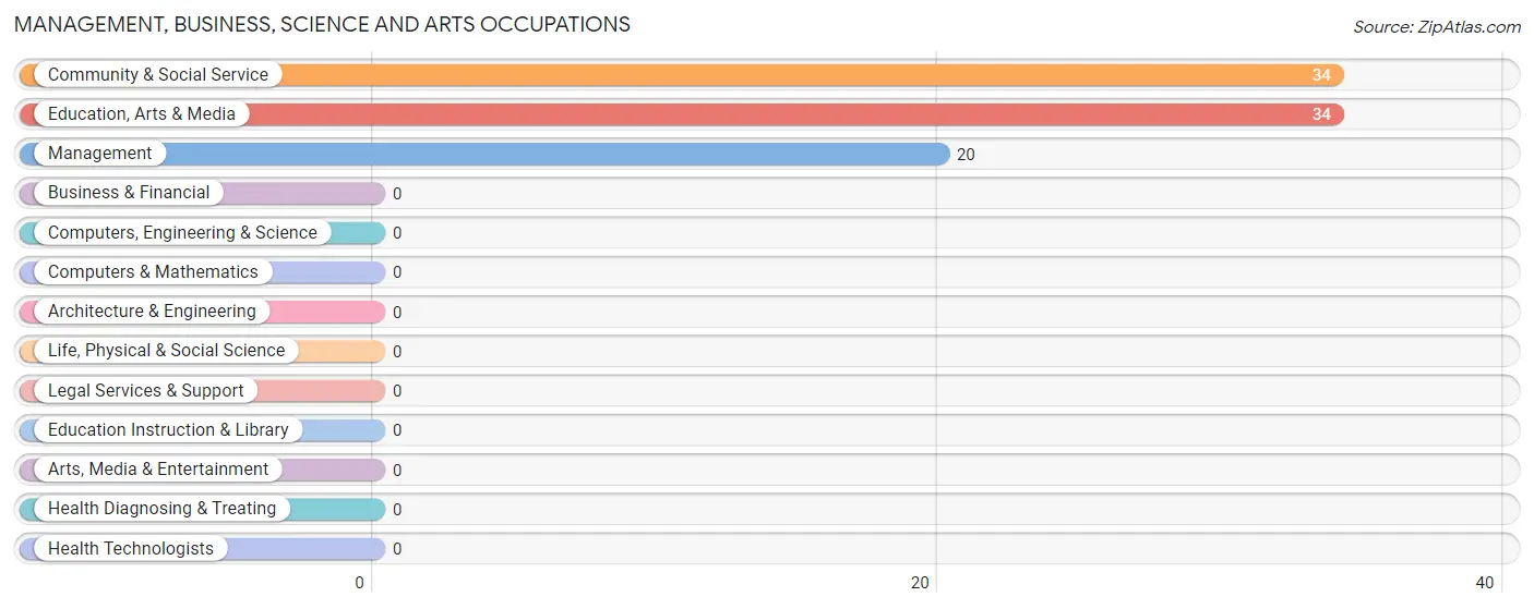 Management, Business, Science and Arts Occupations in Playita comunidad Yabucoa Municipio