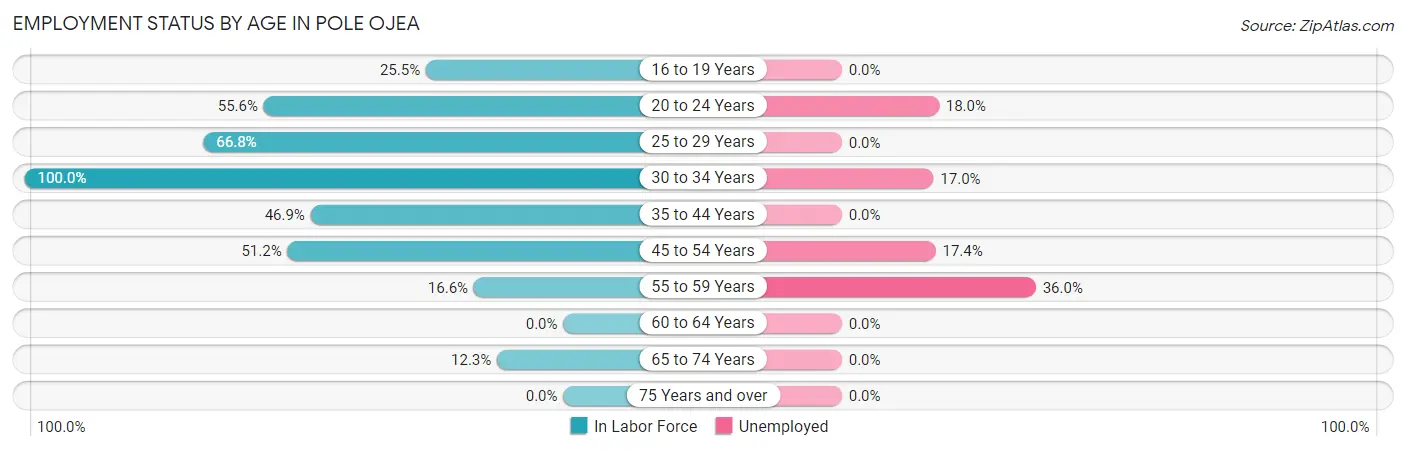 Employment Status by Age in Pole Ojea