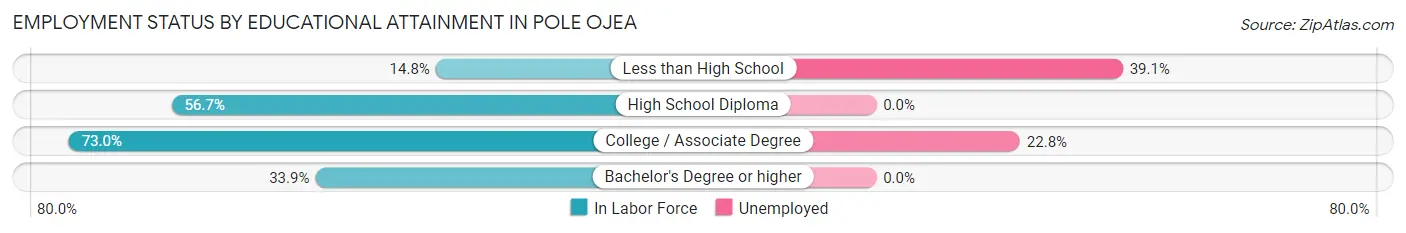 Employment Status by Educational Attainment in Pole Ojea