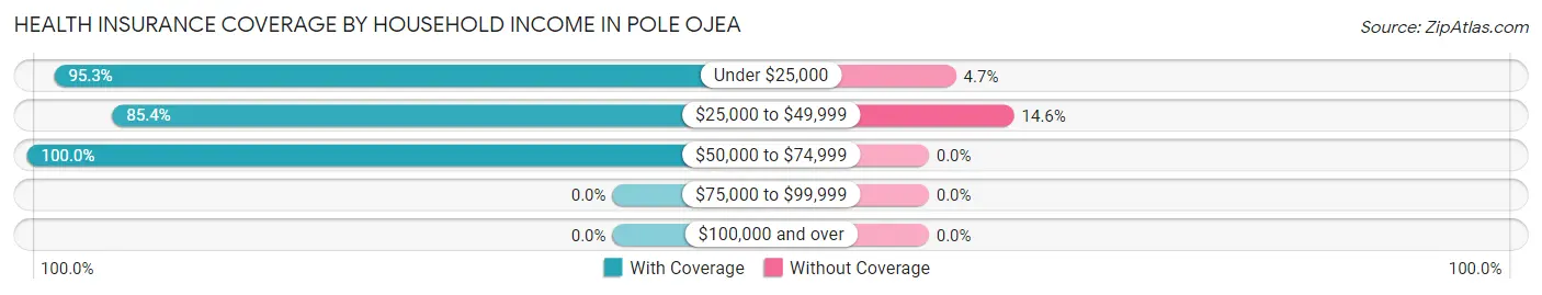 Health Insurance Coverage by Household Income in Pole Ojea