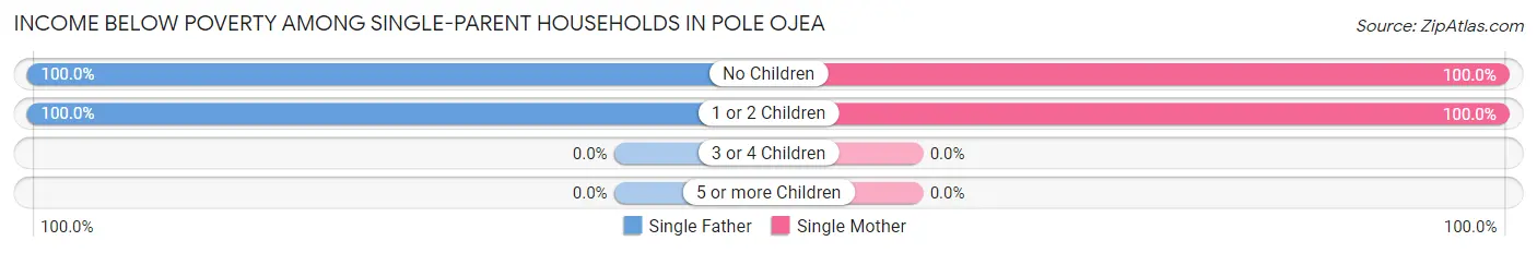 Income Below Poverty Among Single-Parent Households in Pole Ojea