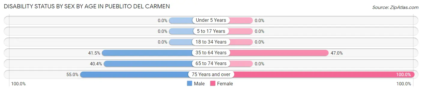 Disability Status by Sex by Age in Pueblito del Carmen