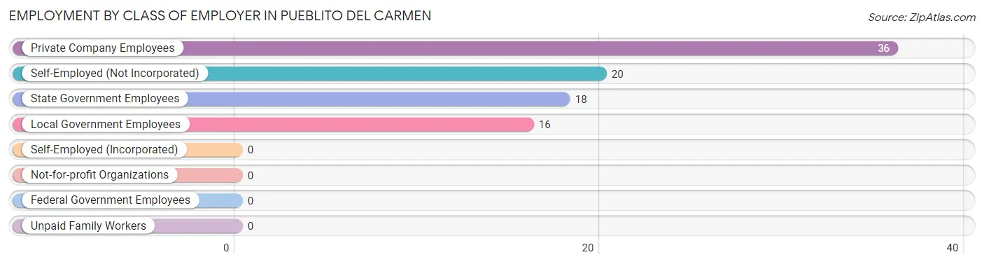 Employment by Class of Employer in Pueblito del Carmen