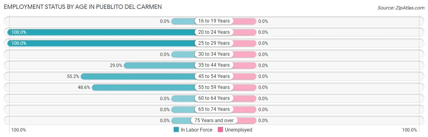 Employment Status by Age in Pueblito del Carmen
