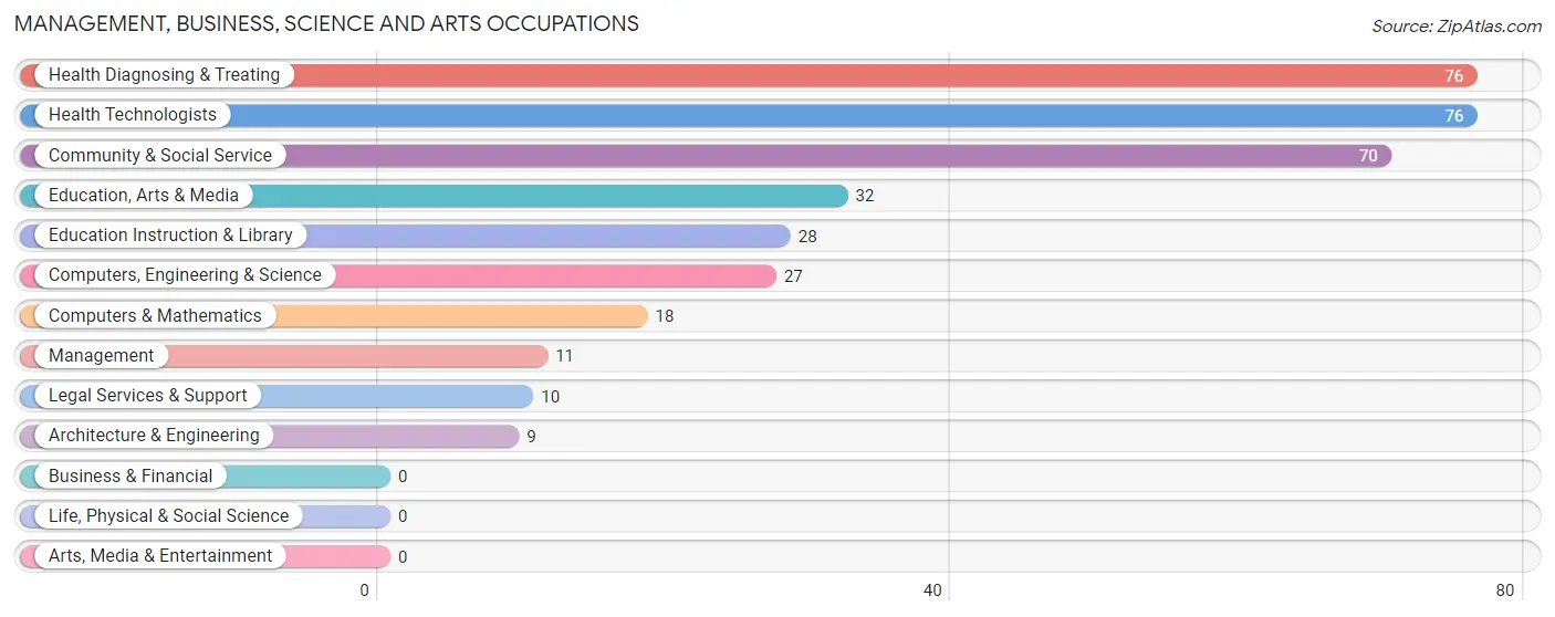 Management, Business, Science and Arts Occupations in Punta Santiago