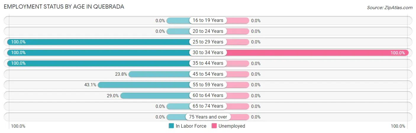 Employment Status by Age in Quebrada