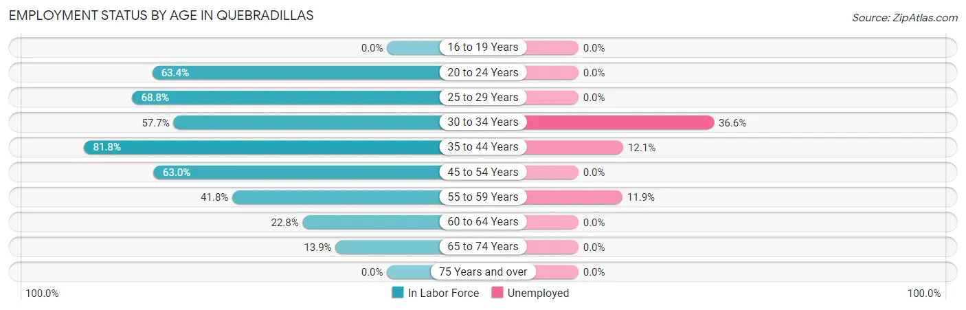 Employment Status by Age in Quebradillas