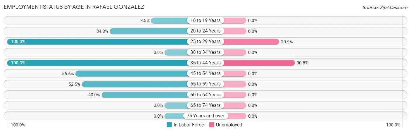 Employment Status by Age in Rafael Gonzalez