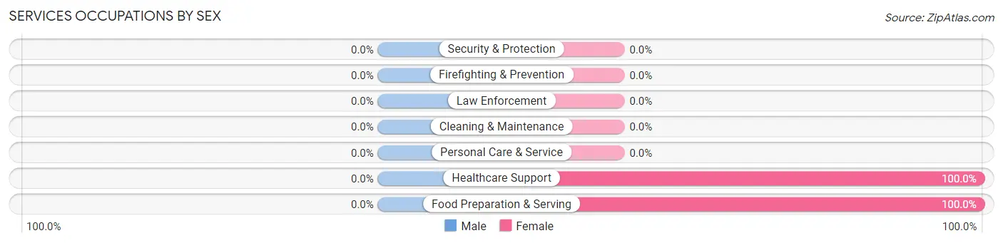 Services Occupations by Sex in Rafael Gonzalez