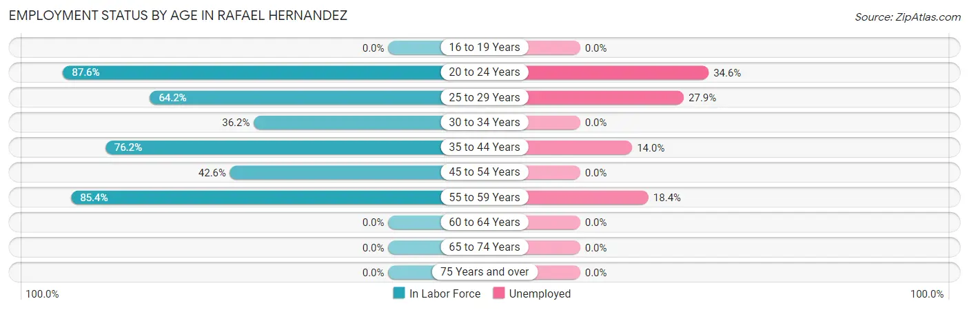 Employment Status by Age in Rafael Hernandez