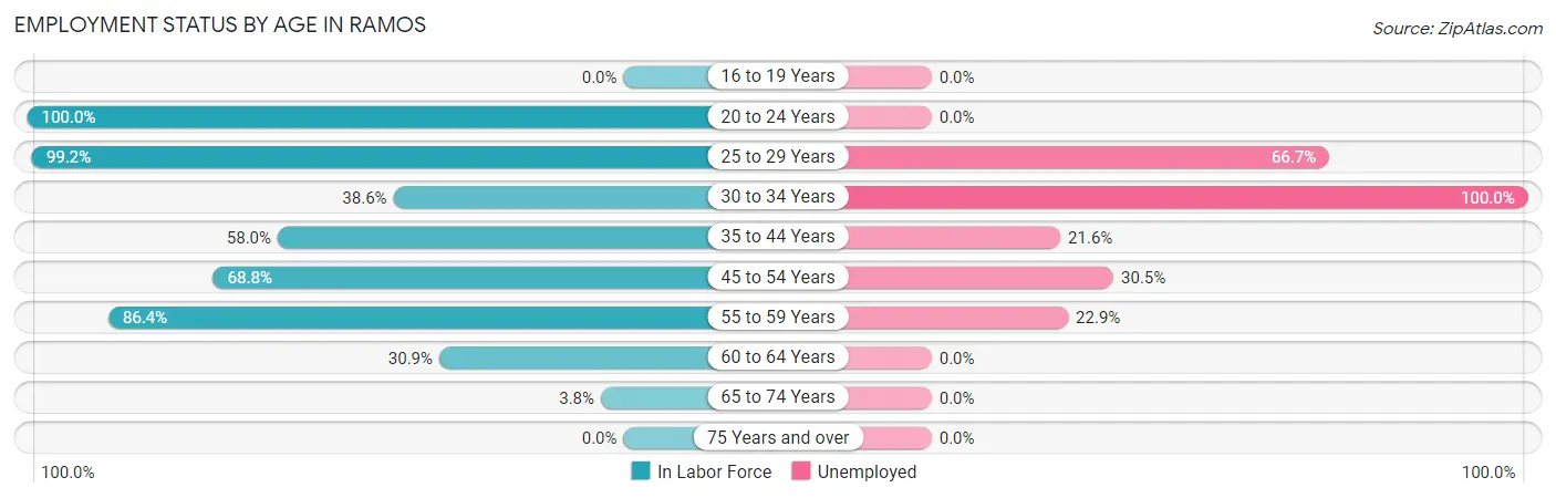 Employment Status by Age in Ramos