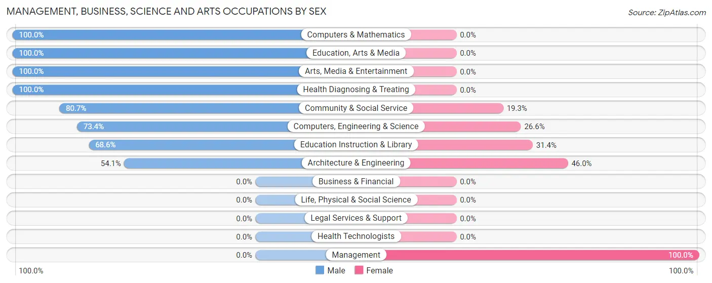 Management, Business, Science and Arts Occupations by Sex in Rincon