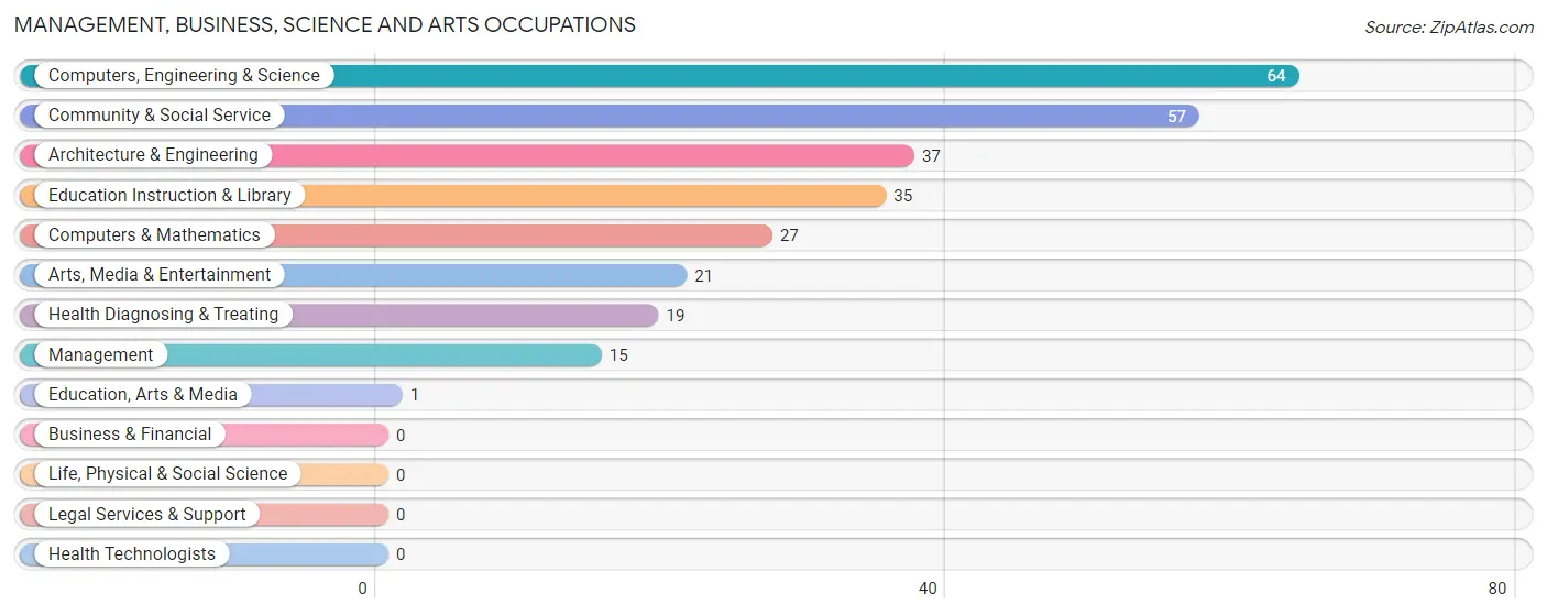 Management, Business, Science and Arts Occupations in Rincon