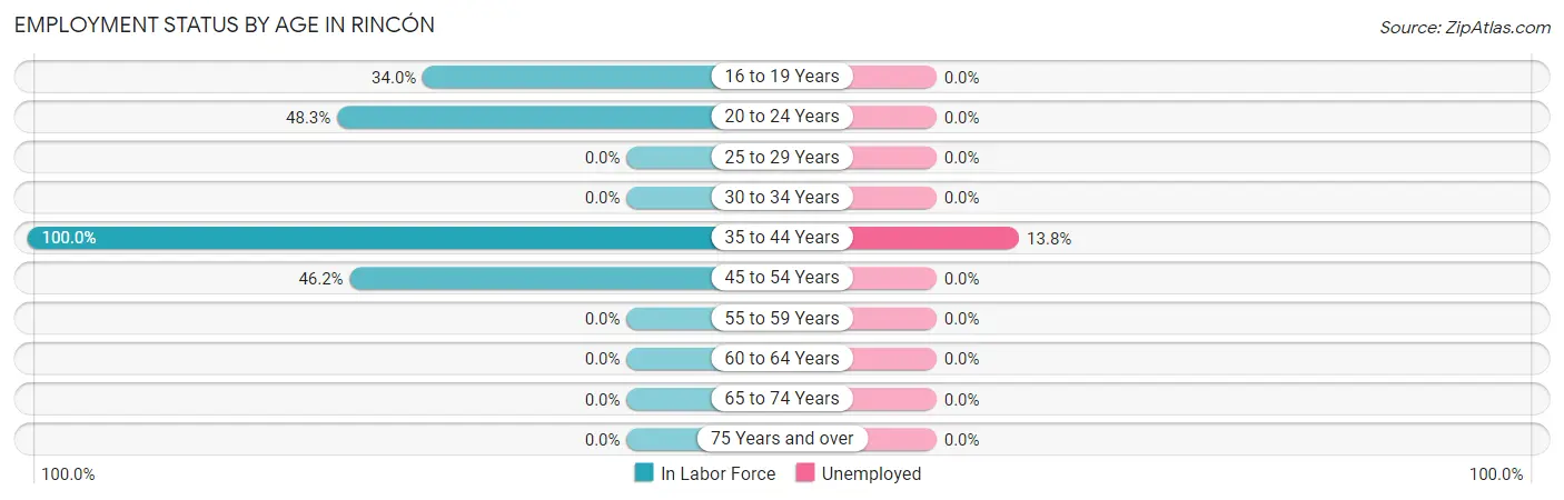 Employment Status by Age in Rincón