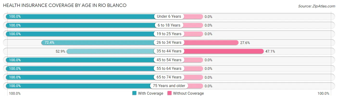 Health Insurance Coverage by Age in Rio Blanco