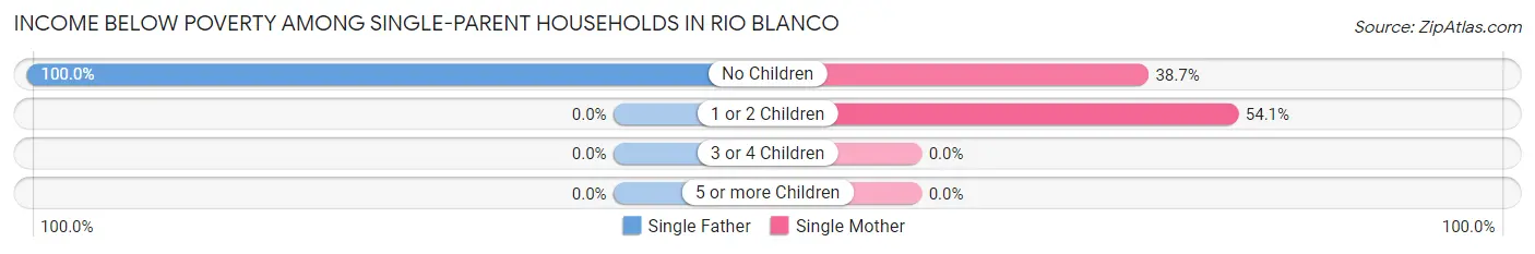 Income Below Poverty Among Single-Parent Households in Rio Blanco