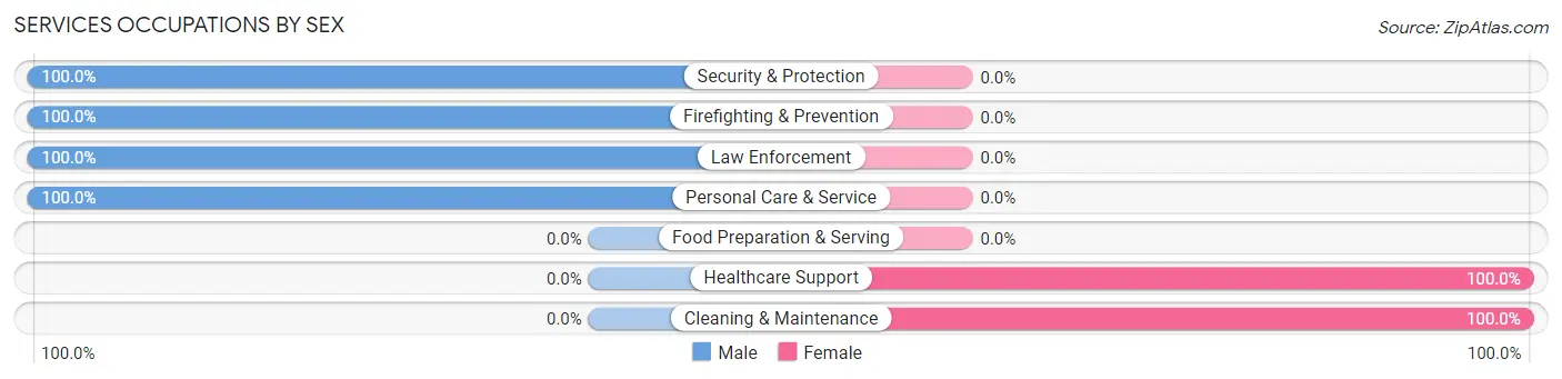 Services Occupations by Sex in Rio Blanco