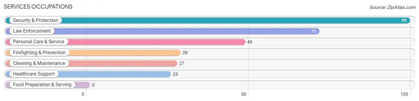 Services Occupations in Rio Blanco