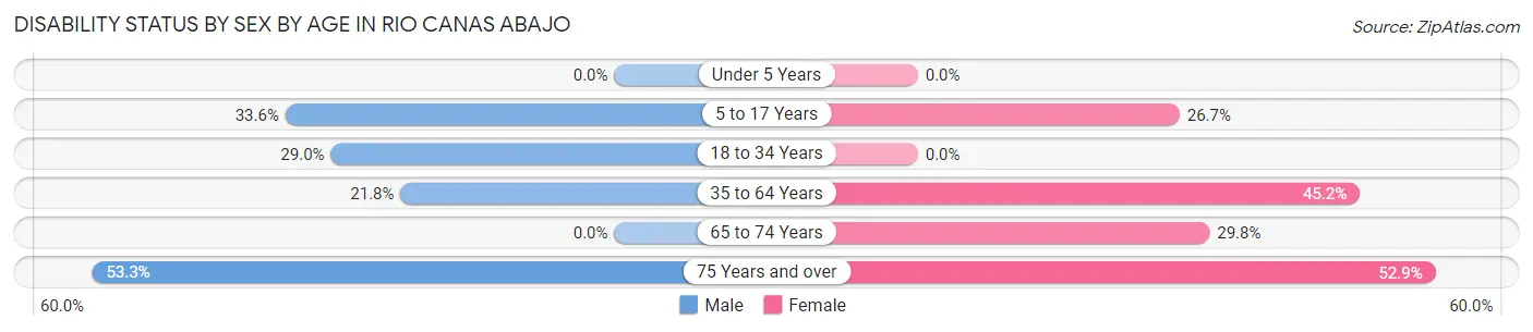 Disability Status by Sex by Age in Rio Canas Abajo