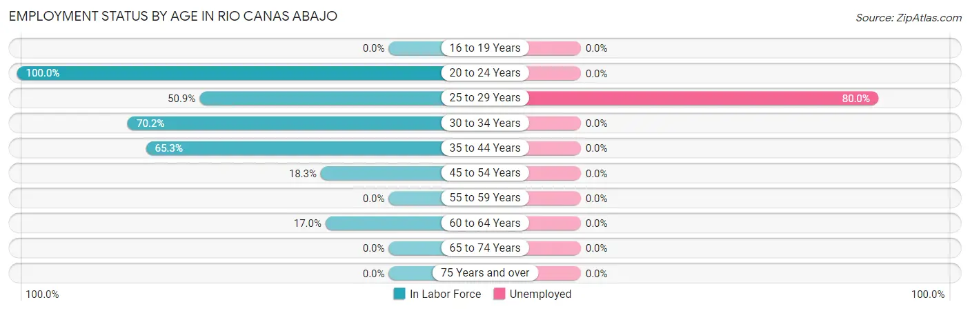 Employment Status by Age in Rio Canas Abajo